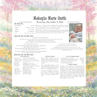 Meadow Design Meadow Design