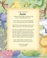 Jungle Design Jungle Design